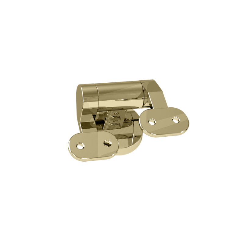 Burlington ПЕТЛИ С ДОВОДЧИКОМ ДЛЯ СИДЕНЬЯ УНИТАЗА(пара) золото