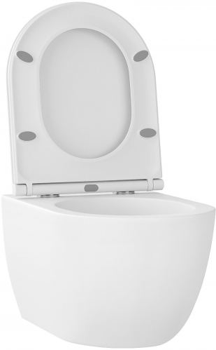 Унитаз подвесной Wellsee Chalice Perfection RimFree   белый матовый в комплекте с сиденьем SoftClose