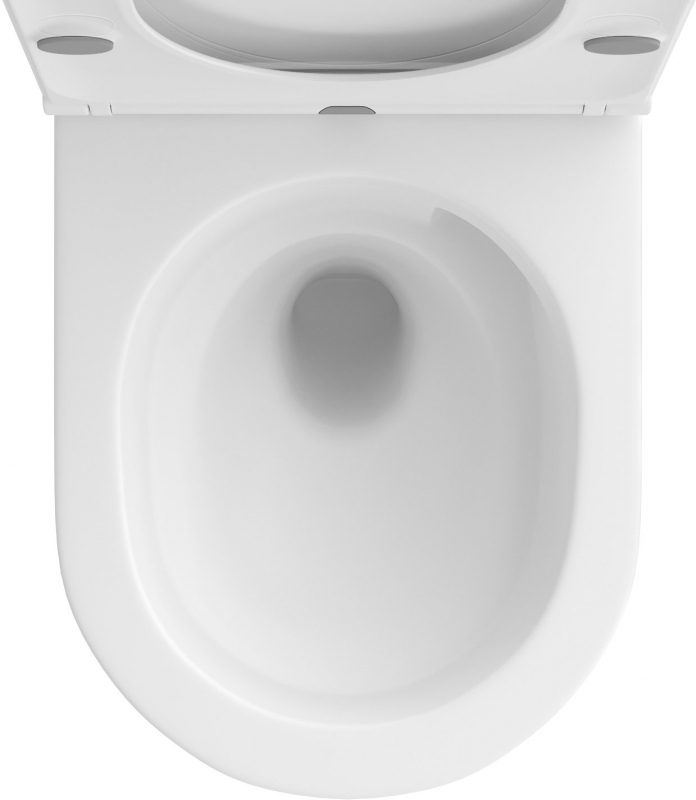 Унитаз подвесной Wellsee Chalice Perfection RimFree   белый матовый в комплекте с сиденьем SoftClose