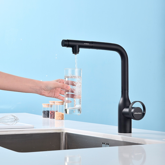 Смеситель PAULMARK URBAN (черный/антрацит)