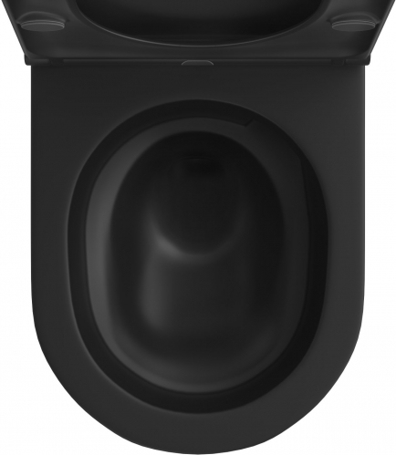 Унитаз подвесной Wellsee Chalice Perfection RimFree  черный матовый в комплекте с сиденьем SoftClose