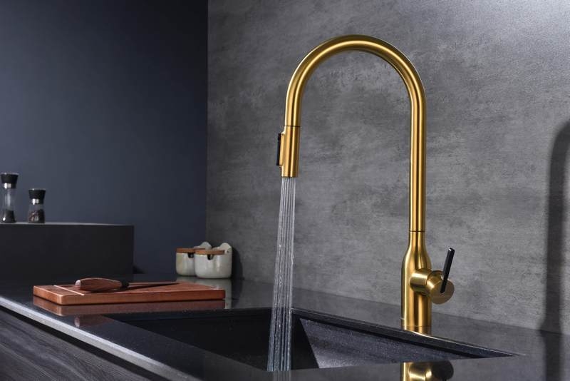 Смеситель PAULMARK UNIVERSAL (золото/брашированное золото)