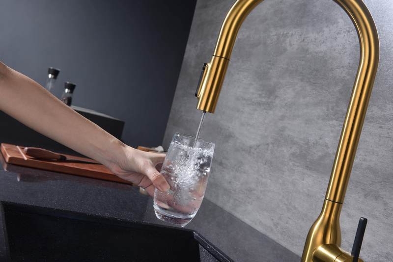 Смеситель PAULMARK UNIVERSAL (золото/брашированное золото)