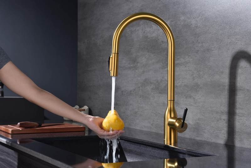 Смеситель PAULMARK UNIVERSAL (золото/брашированное золото)