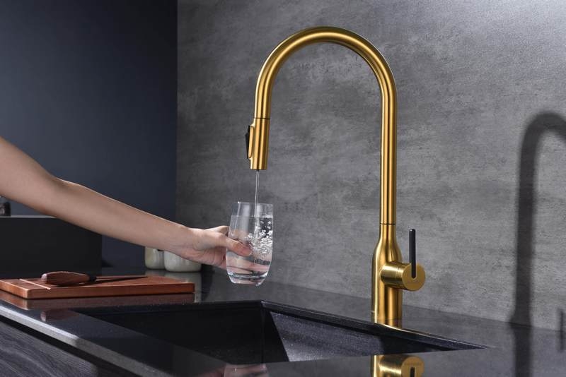 Смеситель PAULMARK UNIVERSAL (золото/брашированное золото)