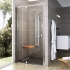Душевая дверь Ravak Pivot PDOP2-100х190 стекло satin+Transparent