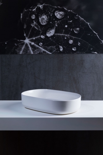 Раковина накладная Allen Brau Fantasy 55  белый матовый