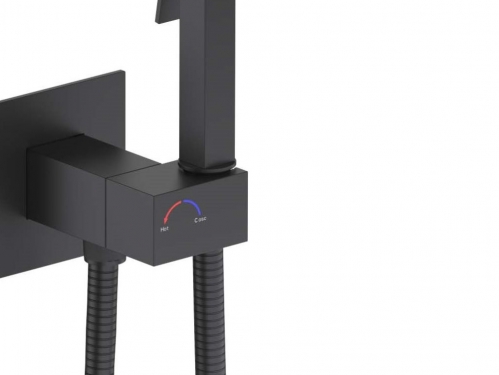 Гигиенический душ Aquatek Лира черный 