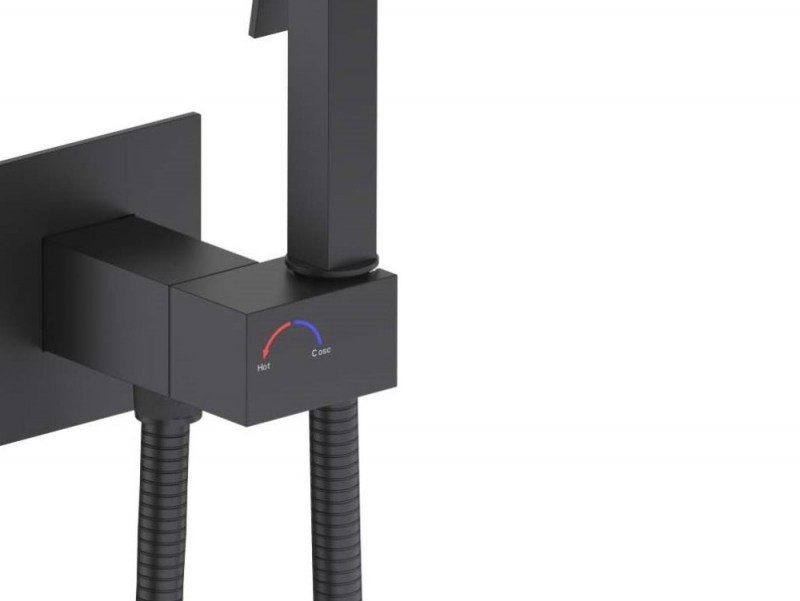 Гигиенический душ Aquatek Лира черный 