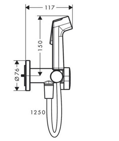 Гигиенический душ Hansgrohe Bidette S, EcoSmart, держатель и шланг 125 см, хром