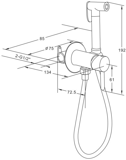 Гигиенический душ Roxen Santi  графит 