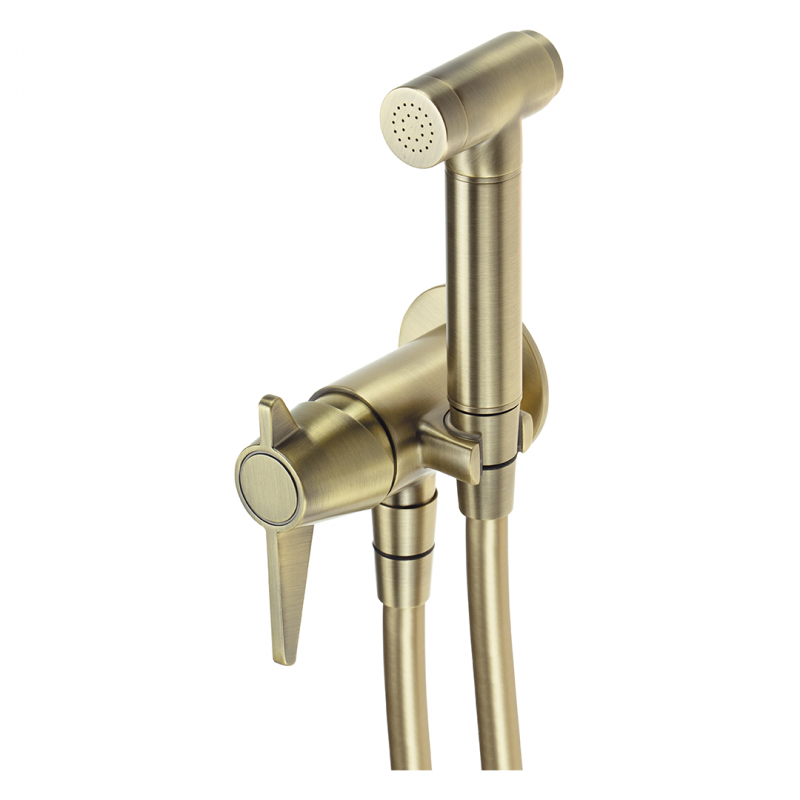 Гигиенический душ Deante Temisto латунь
