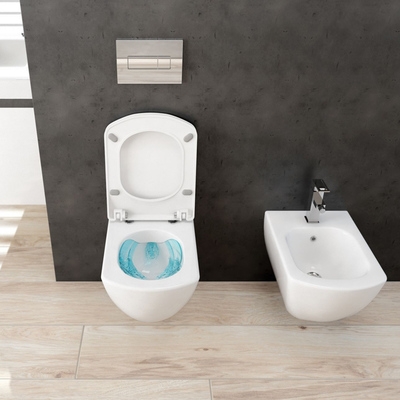 Биде подвесное Deante Anemon, 36.7*51.7 см