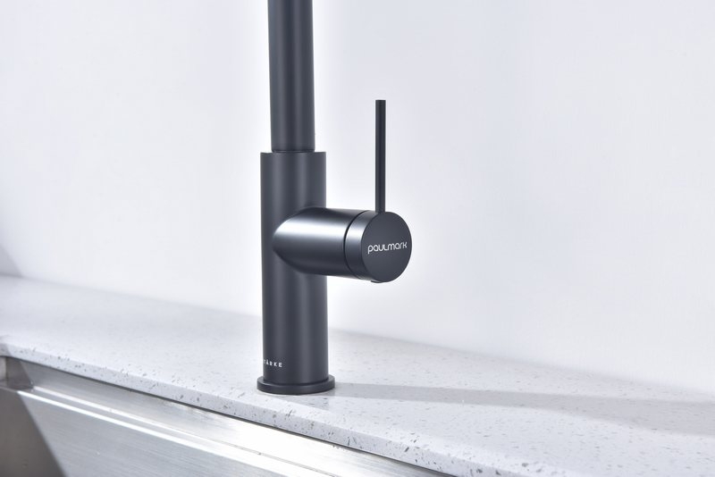 Смеситель PAULMARK UNIVERSAL (черный/вороненая сталь)