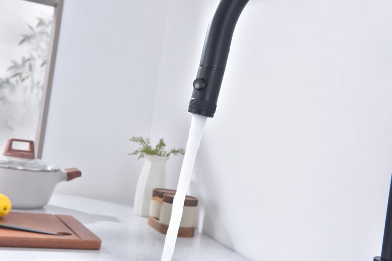 Смеситель PAULMARK UNIVERSAL (черный/вороненая сталь)