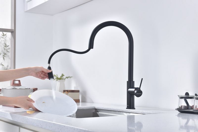 Смеситель PAULMARK UNIVERSAL (черный/вороненая сталь)