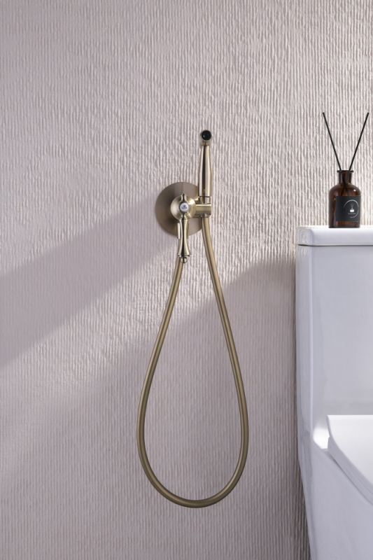 Гигиенический душ Ganzer бронза