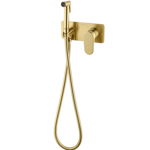 Набор для псевдобиде со смесителем скрытого монтажа Boheme Spectre ,брашированное золото