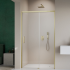 Дверь Radaway IDEA BRUSHED GOLD DWJ 
