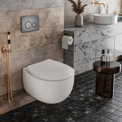 Подвесной унитаз Roxen EGG  Rimless Soft Close 50x37