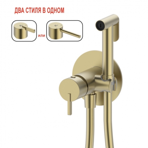 СМЕСИТЕЛЬ ВСТРАИВАЕМЫЙ С ГИГИЕНИЧЕСКИМ ДУШЕМ GANZER, золото брашированное