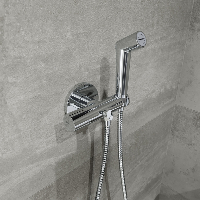 Смеситель скрытого монтажа с гигиеническим душем