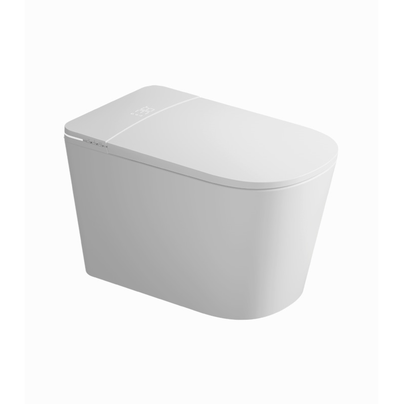 Умный унитаз-биде Plus напольный, импульсный