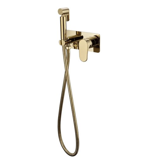 Набор для псевдобиде со смесителем скрытого монтажа Boheme Spectre золото