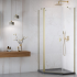 Душевой уголок Radaway NES 6 BRUSHED GOLD PTJ