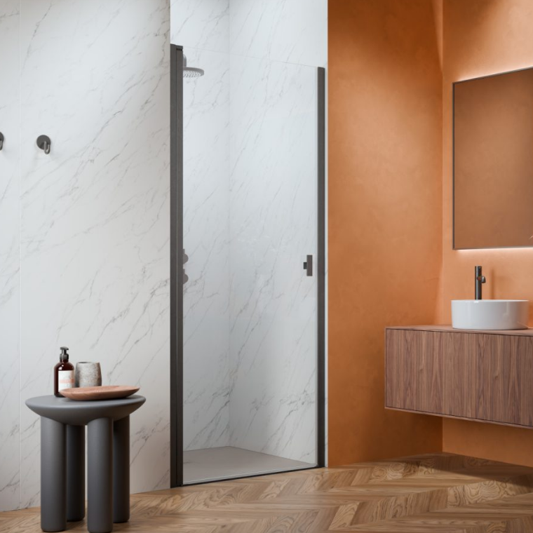 Душевая дверь маятниковая Radaway NES 6 BRUSHED GUNMETAL DWJ I