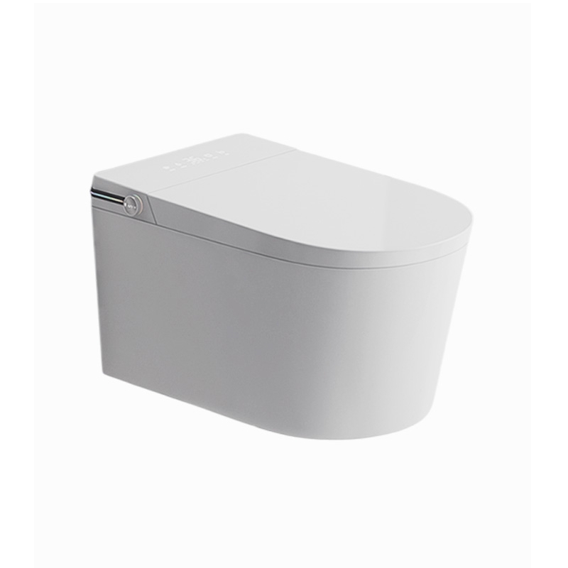 Унитаз-биде BRUNNEN WAL BS-3005 Pro подвесной, импульсный