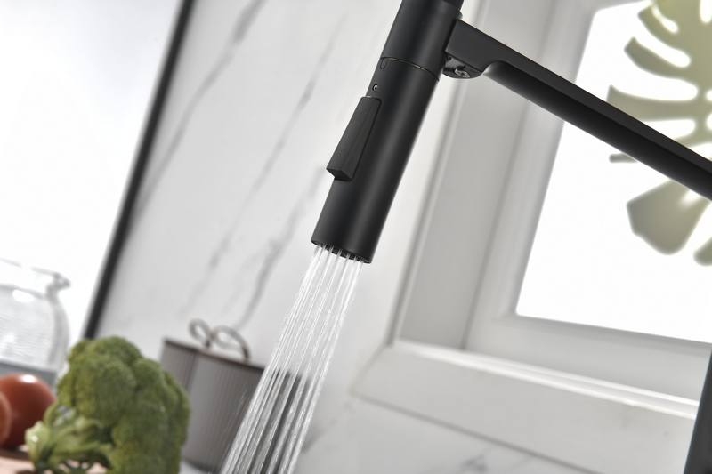 СМЕСИТЕЛЬ PAULMARK BARREL ЧЕРНЫЙ с гибким шлангом, 2 режима струи