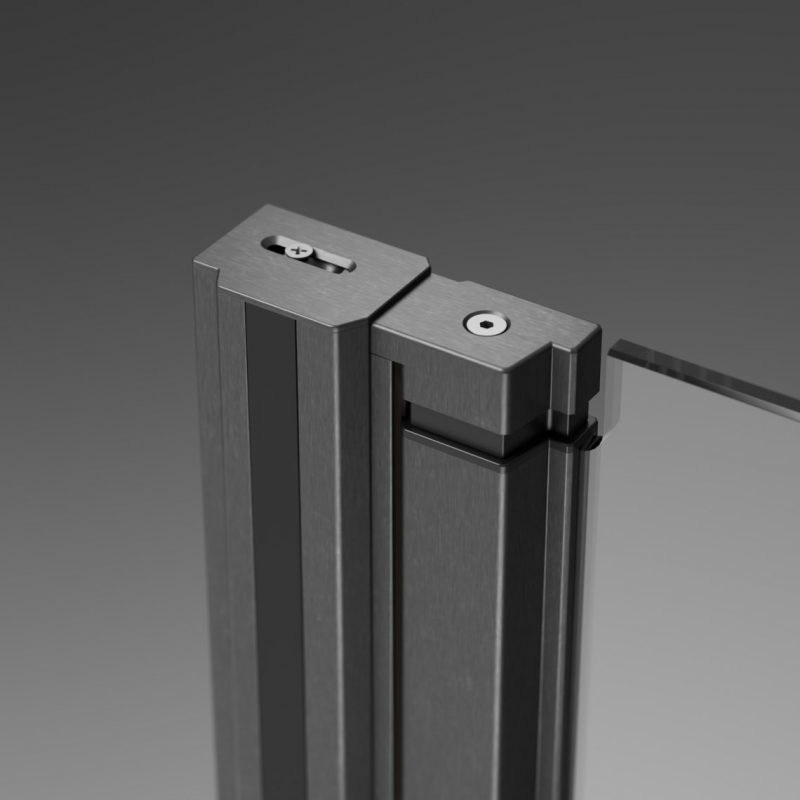 Душевая дверь Radaway NES 6 BRUSHED NICKEL DWS