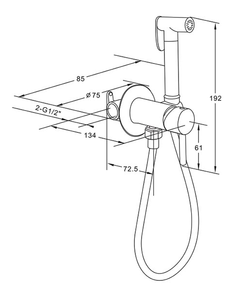 Смеситель для биде Roxen Santi  хром
