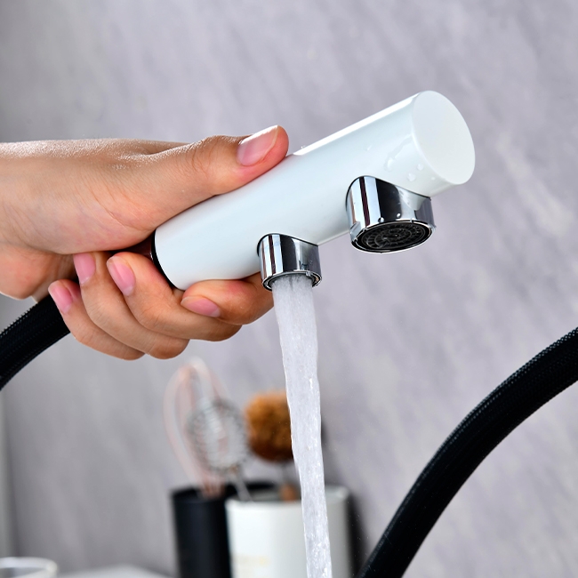 Смеситель PAULMARK SERPENTINE  белый матовыйс выдвижным изливом с возможностью подключения фильтра питьевой воды 