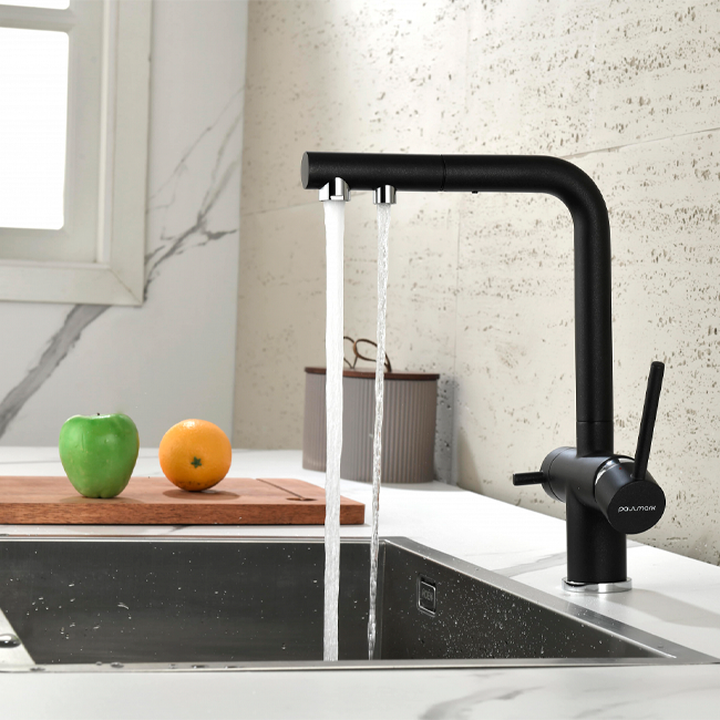 СМЕСИТЕЛЬ PAULMARK SERPENTINE вороненая сталь