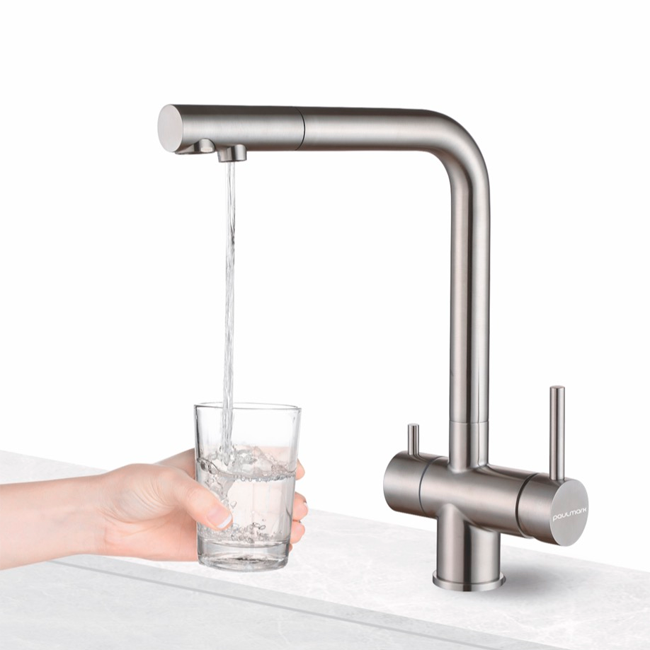 Смеситель для кухни PAULMARK Skalen  с подключением для фильтра 