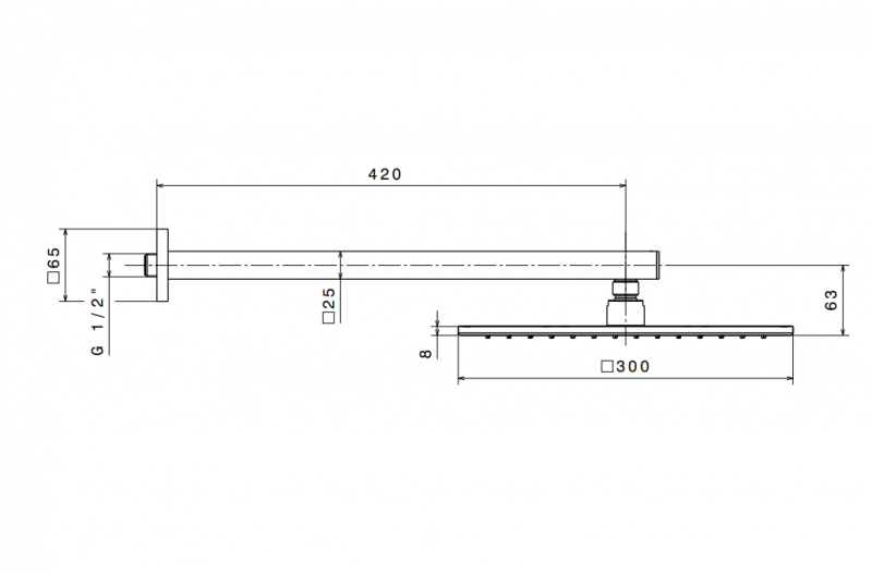 Newform лейка верхнего душа с кронштейном 300х300